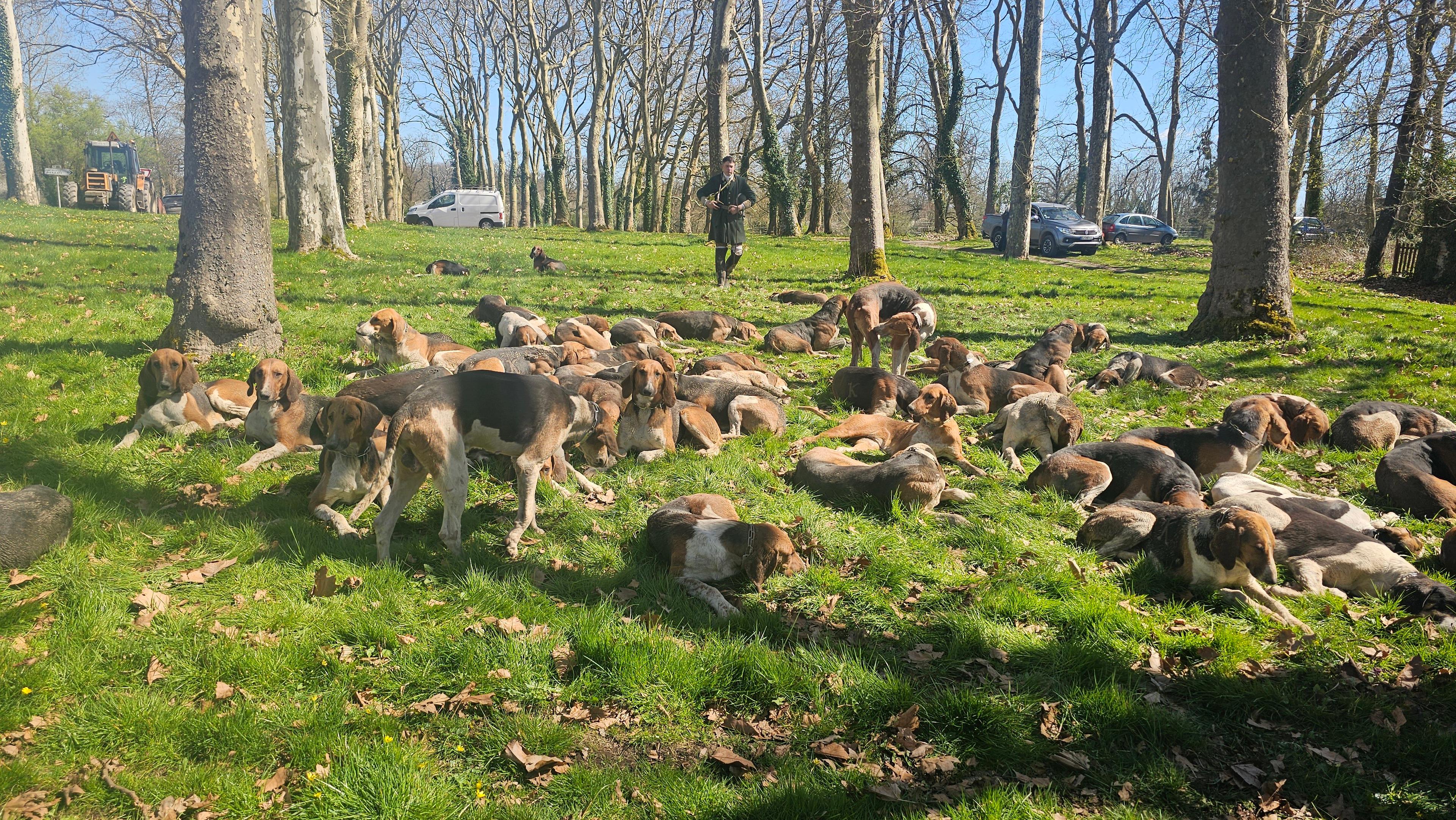 Long repos après la dernière chasse..