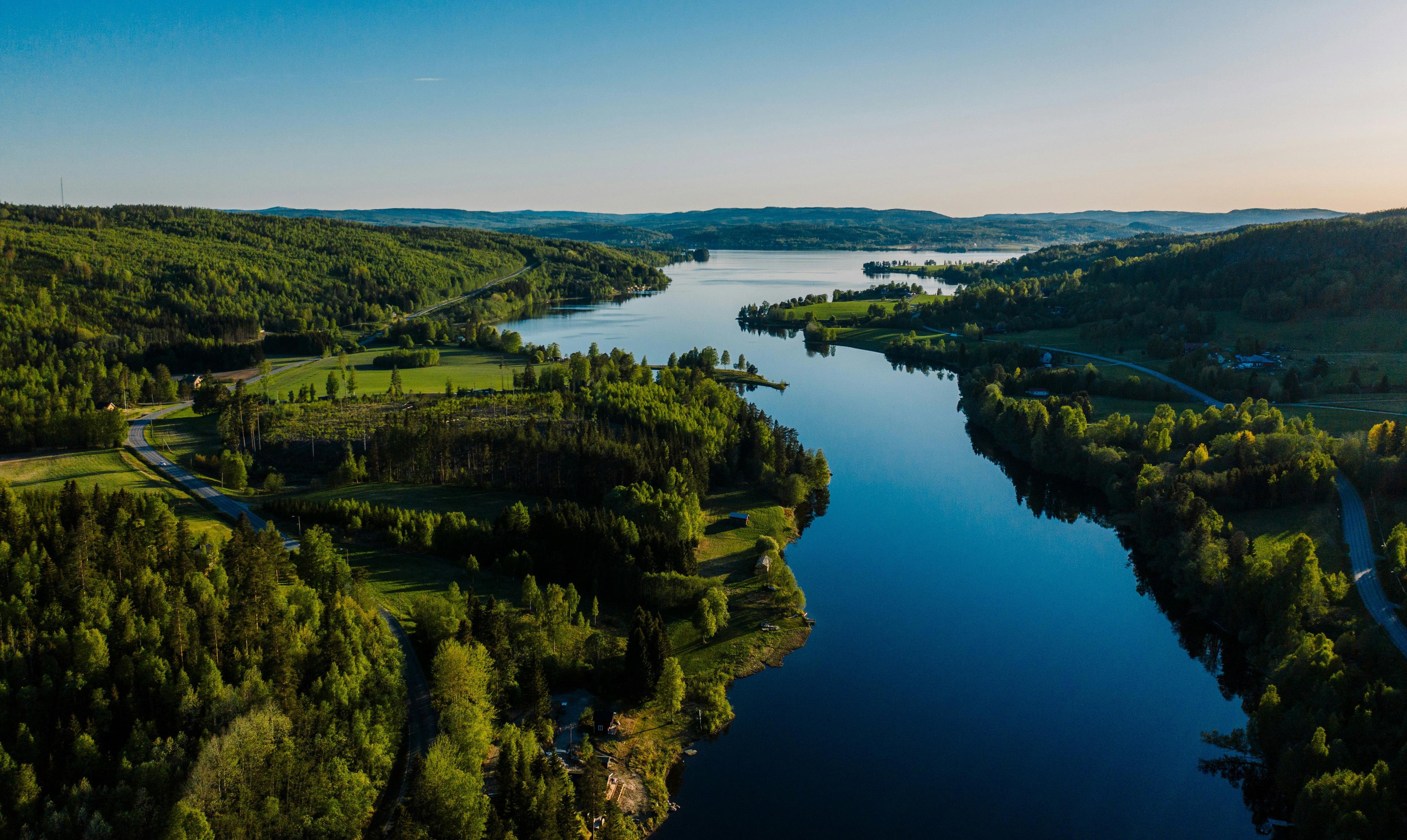 Hunting in Bergslagen, Sweden: An In-Depth Guide for Hunters on Species, Seasons, and Expert Tips for a Memorable and Successful Hunting Experience in This Scenic Region