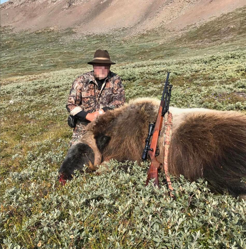 Go on a hunt in South Greenland.