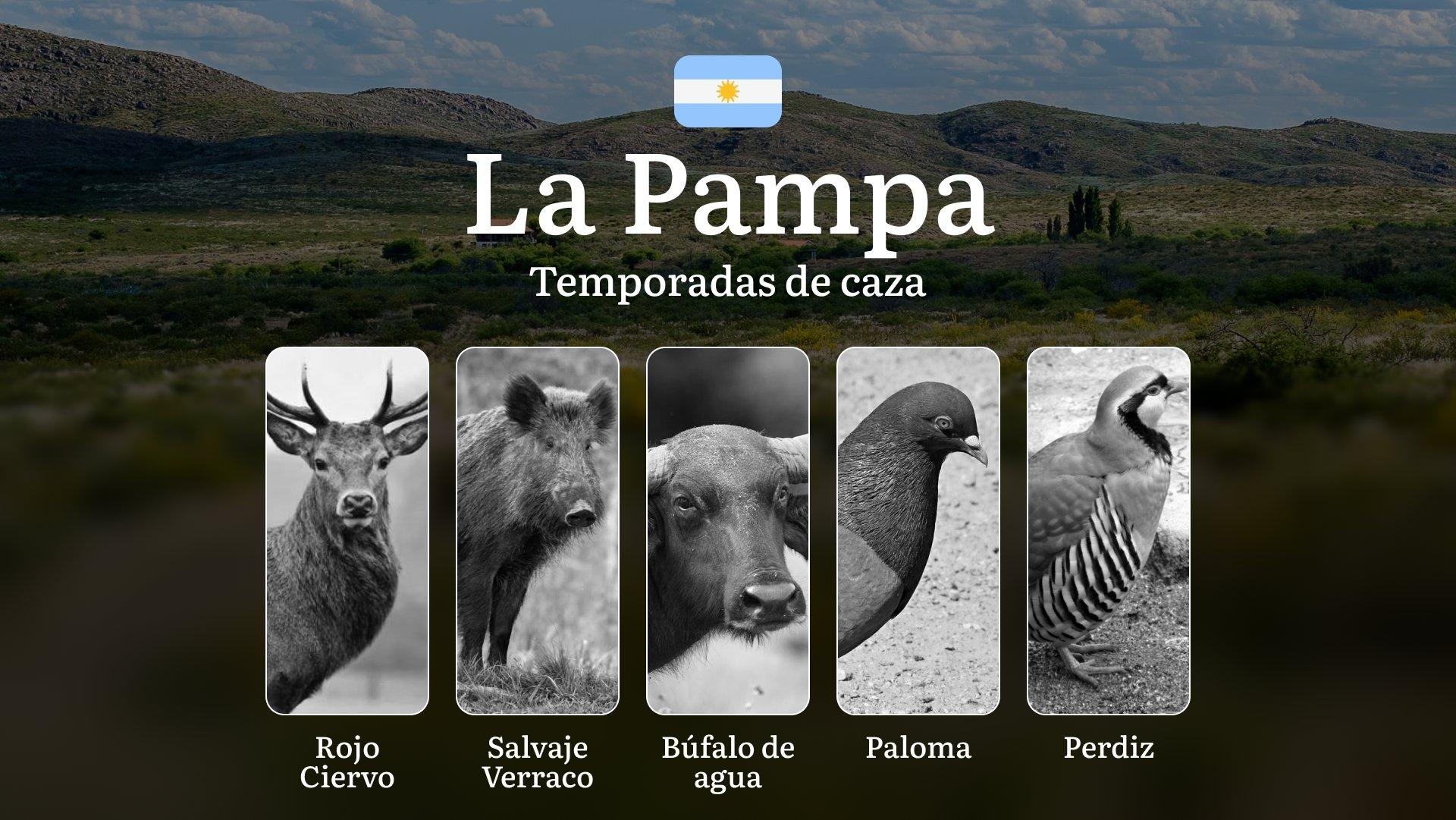 Caza en La Pampa: Guía Completa de Temporadas, Regulaciones y Trofeos en Argentina, Características Climáticas