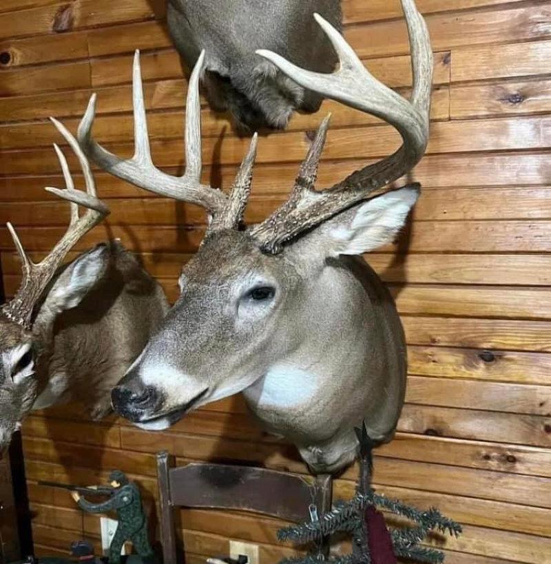 If you want all the Deer spins ,  I can do that.
