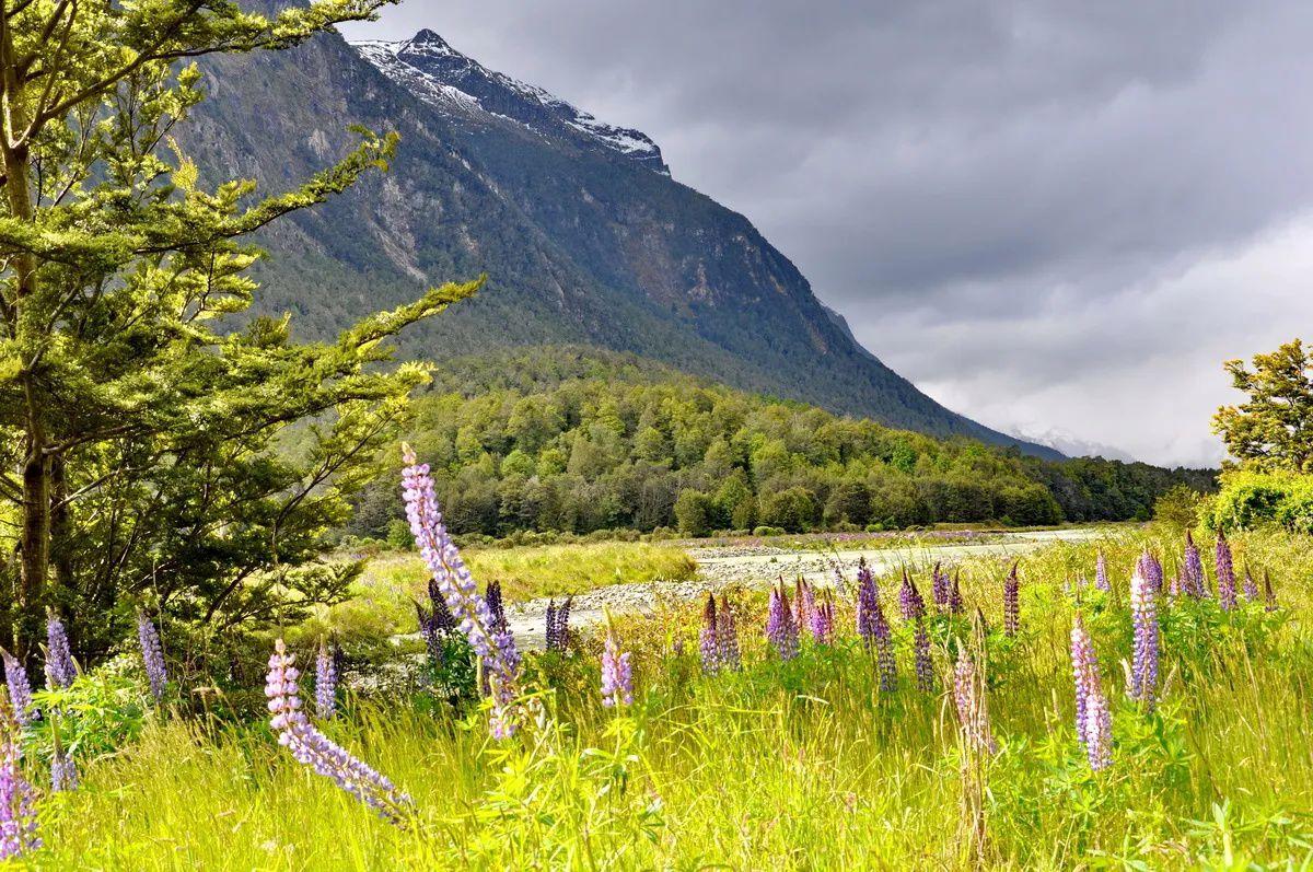 Fiordland National Park, New Zealand