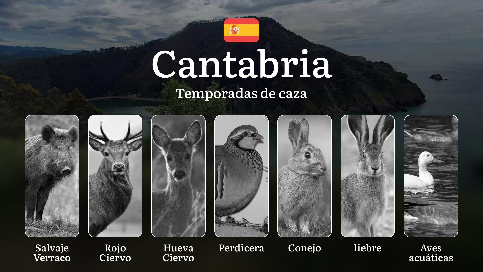 Caza en CANTABRIA: Temporadas y períodos de caza, Licencias y Mejores Épocas para Disfrutar de la Caza Responsable 
