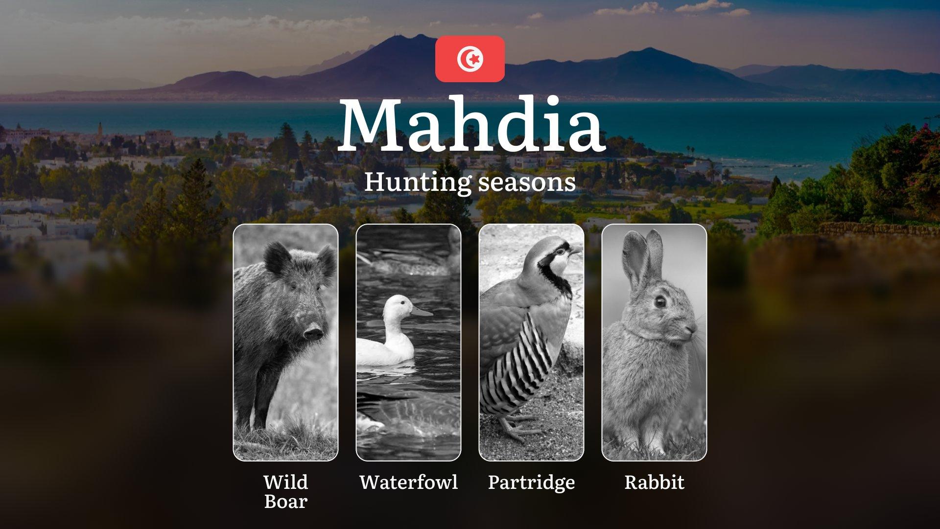Hunting Seasons in MAHDIA: Key Dates, General Rules, Licensing Requirements and Practical Recommendations