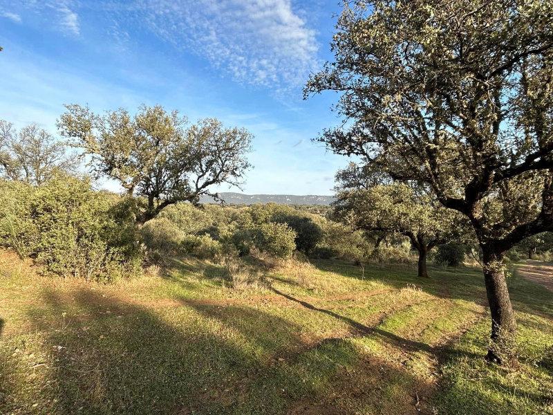 ESPAGNE magnifiques Monterias de trois jours les 