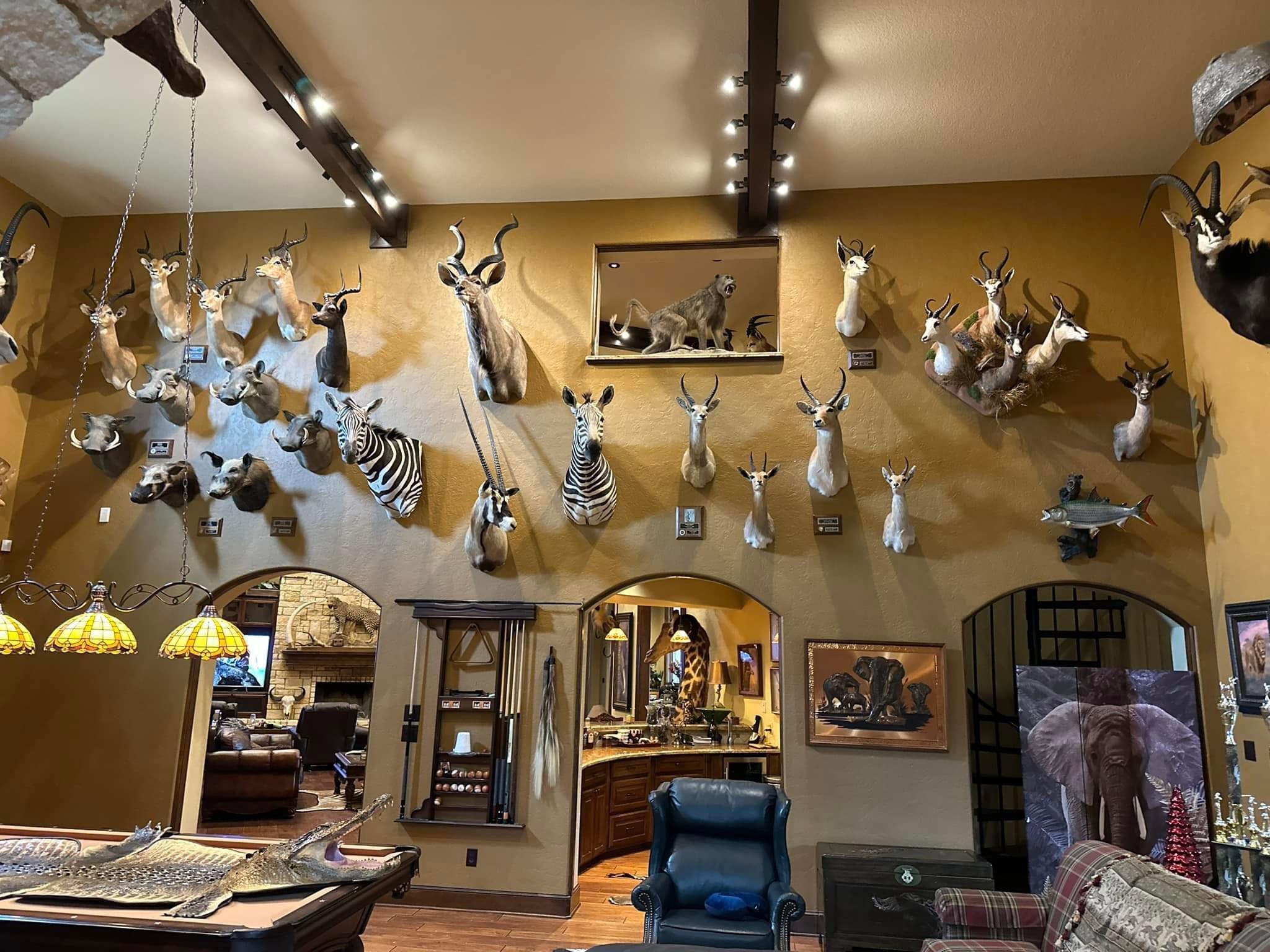 New trophy room additions!!