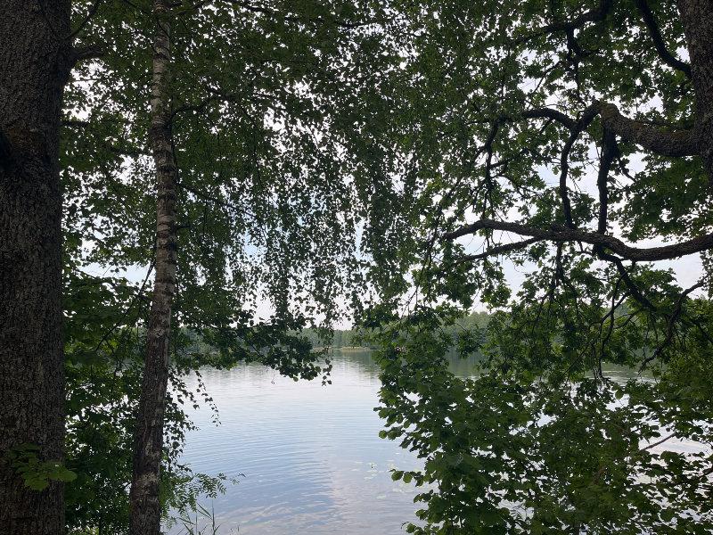 Волчино.