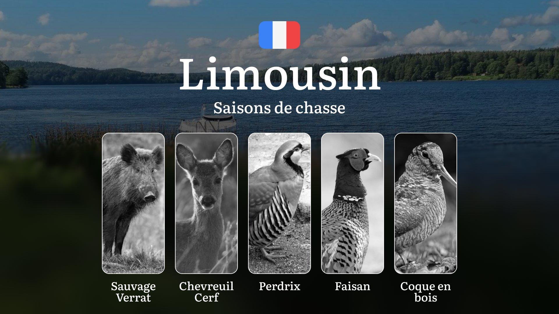 Saisons de Chasse en LIMOUSIN: Calendrier Complet, Meilleures Périodes, Espèces Protégées et Conseils Pratiques