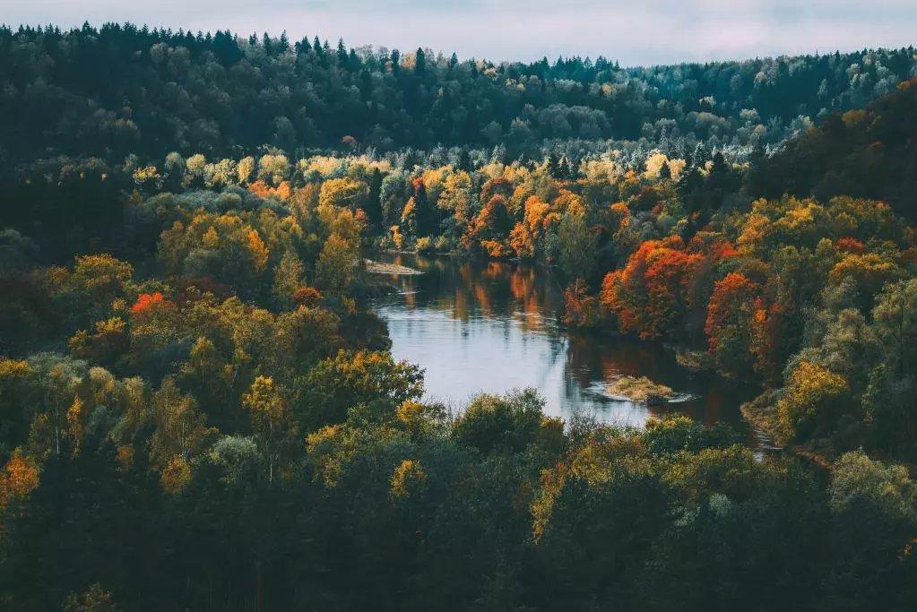 Gaujas Nacionālais parks ir lielākais un vecākais nacionālais parks Latvijā.