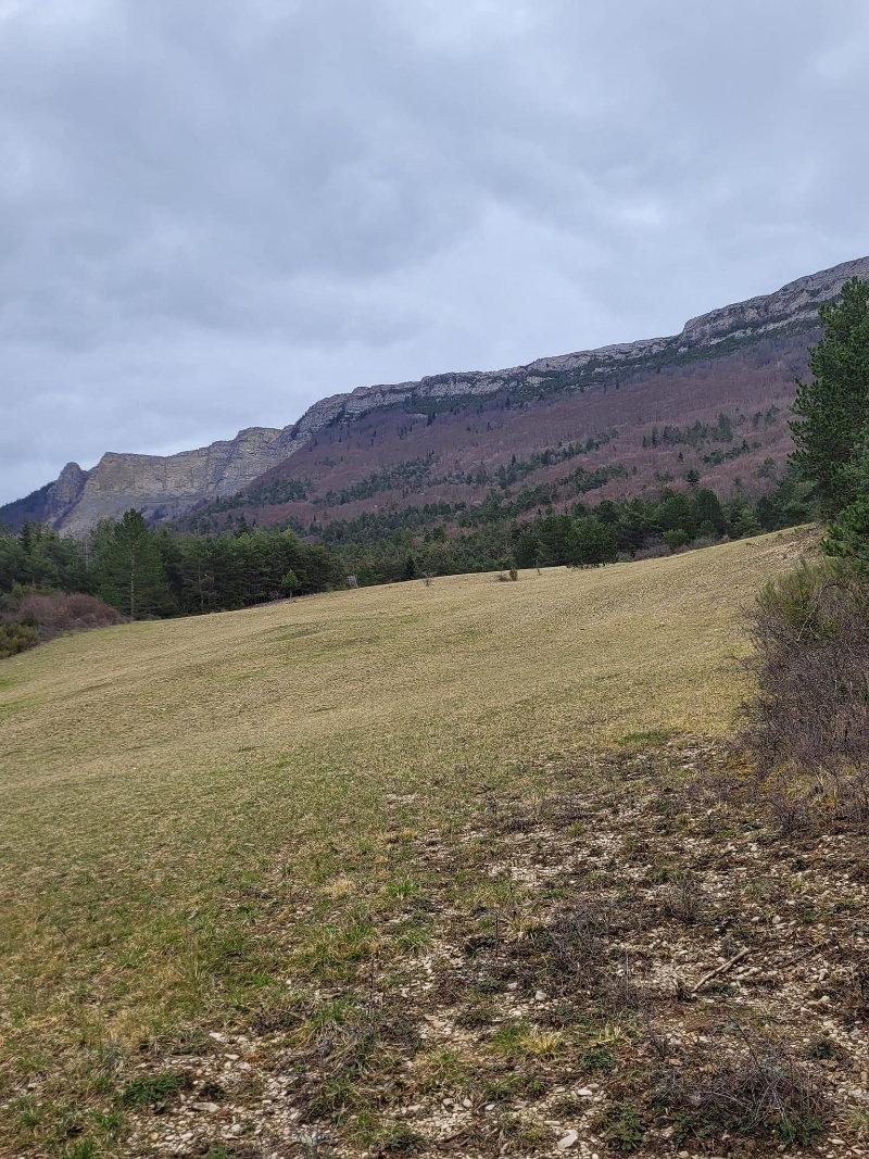 On est à la recherche des actionnaires pour la saison 2023-2024 des personnes sérieux et motivée que des POSTIERS pour rejoindre notre équipe c'est une chasse privé qui ce situe dans la DRÔME (26), Nous chassons SANGLIERS 🐗 et CHEVREUILS 🦌 SAMEDI et DIMANCHE Â partir début SEPTEMBRE à fin FÉVRIER  pour plus de renseignements contactez moi en PRIVÉ C'est avec plaisir de vous accueillir dans notre chasse.