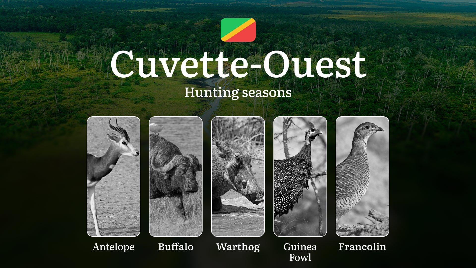 Hunting Dates in the Republic of the Congo: Cuvette-Ouest Region’s Hunting Periods, Tips and Tactics for Hunters, Licenses, Rules and Times for Hunting