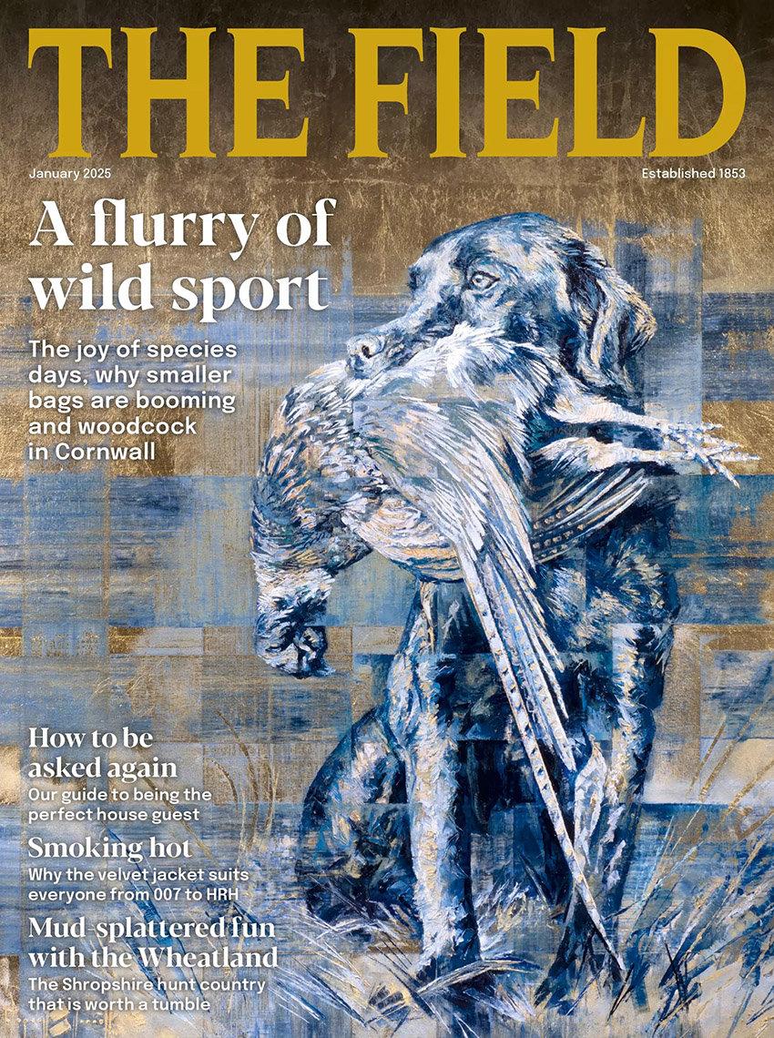 The Field Magazine