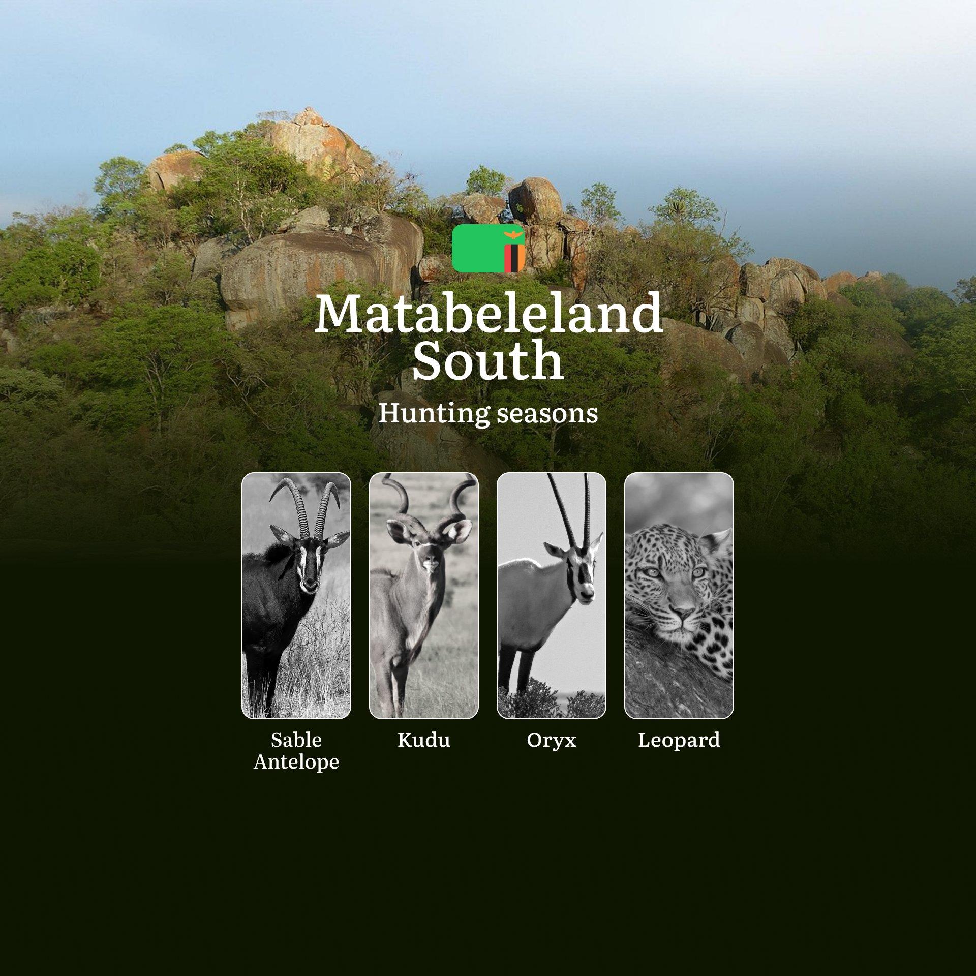 When the Thornveld Comes Alive: Matabeleland South's Strategic Hunting Seasons and Calendar 