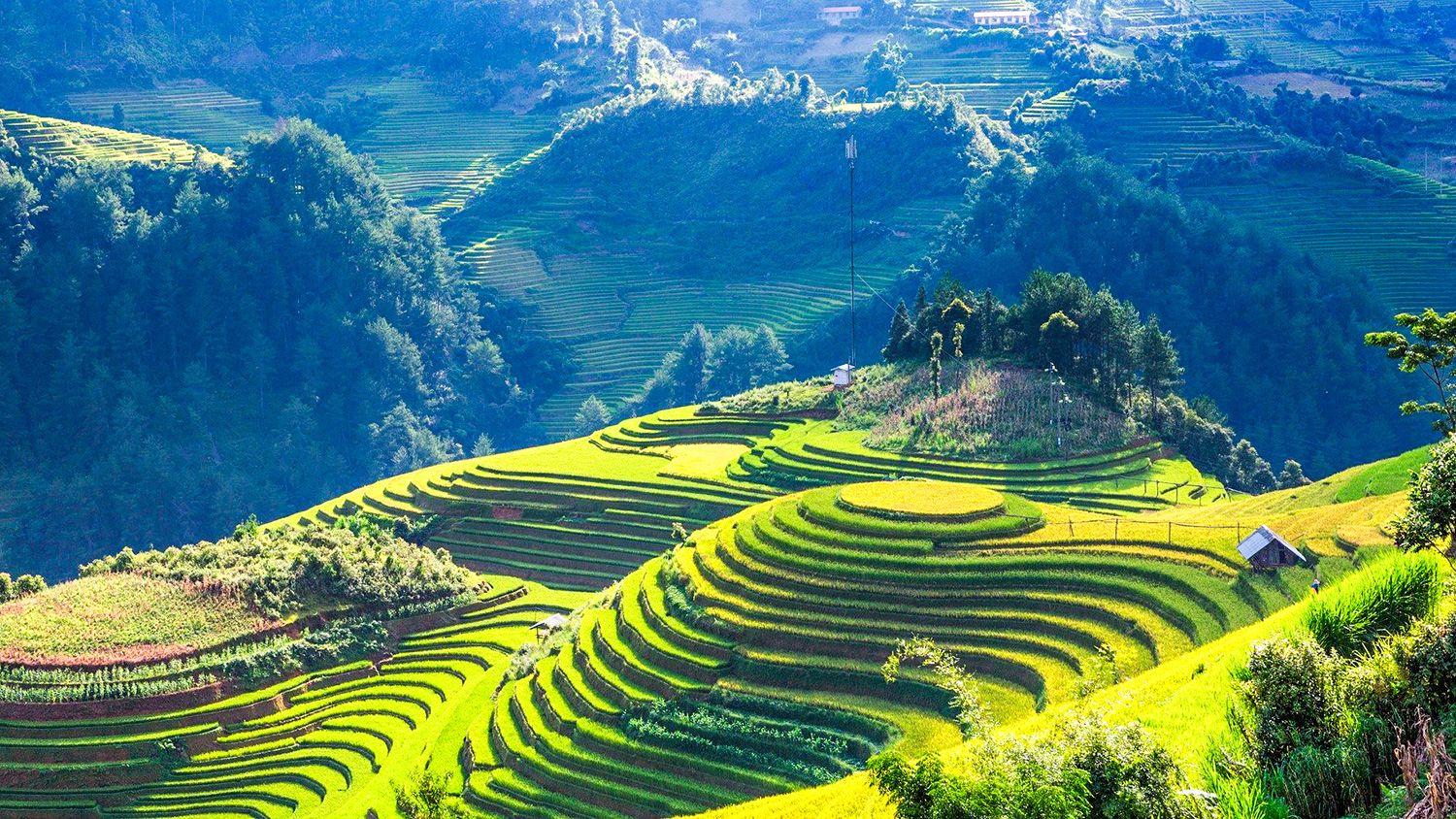 Mù Cang Chải, Vietnam