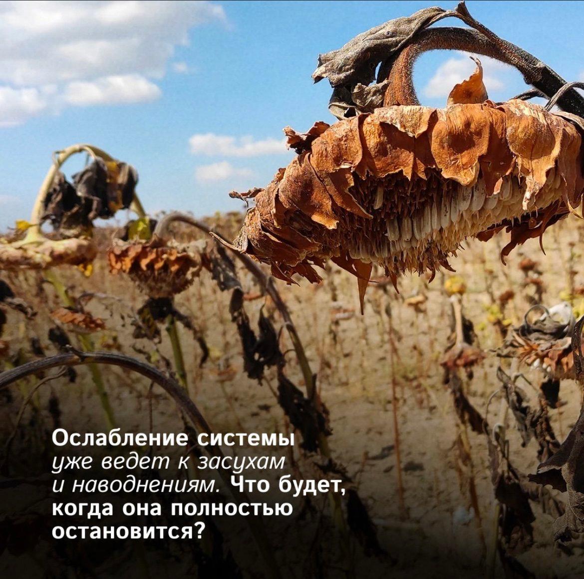 Ученые бьют тревогу - система океанических течений АМОС, поддерживающая климат на планете, на грани коллапса