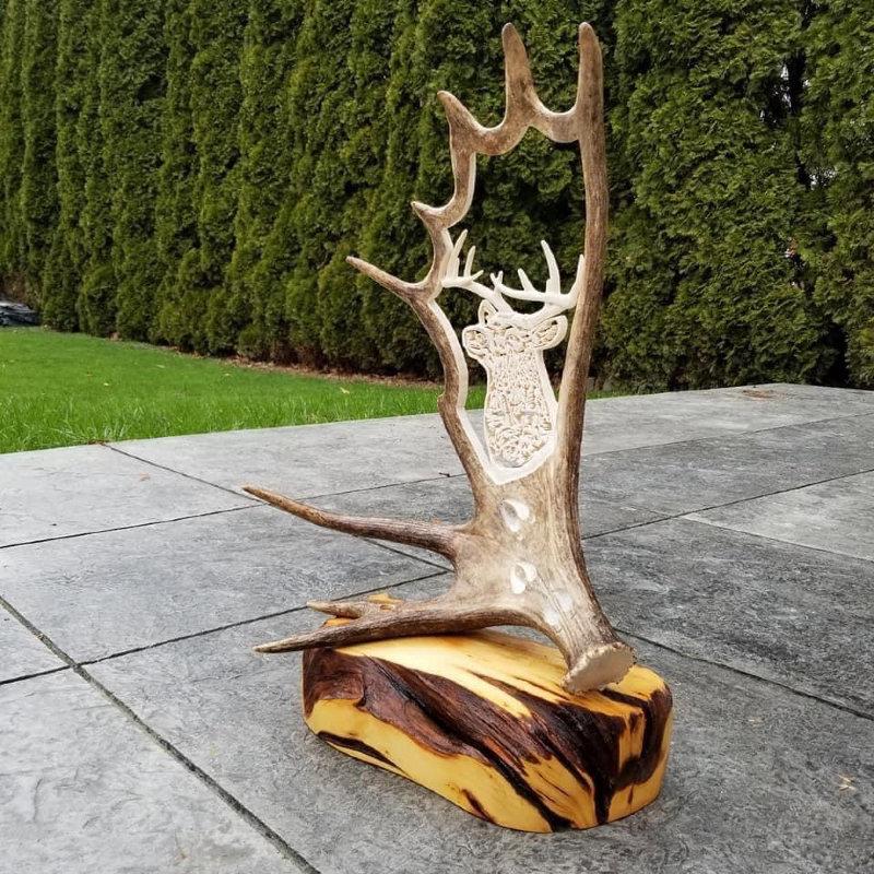 My whitetail carving is complete.