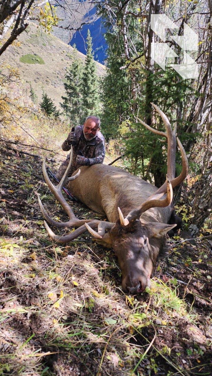 They say about 🇰🇿 Kazakhstan that it is a unique country for hunting.