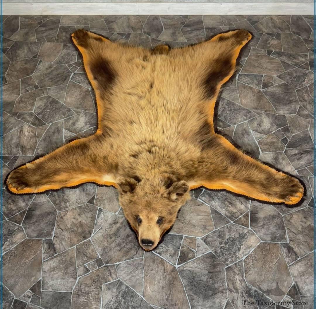 BROWN BEAR FULL-SIZE TAXIDERMY RUG FOR SALE