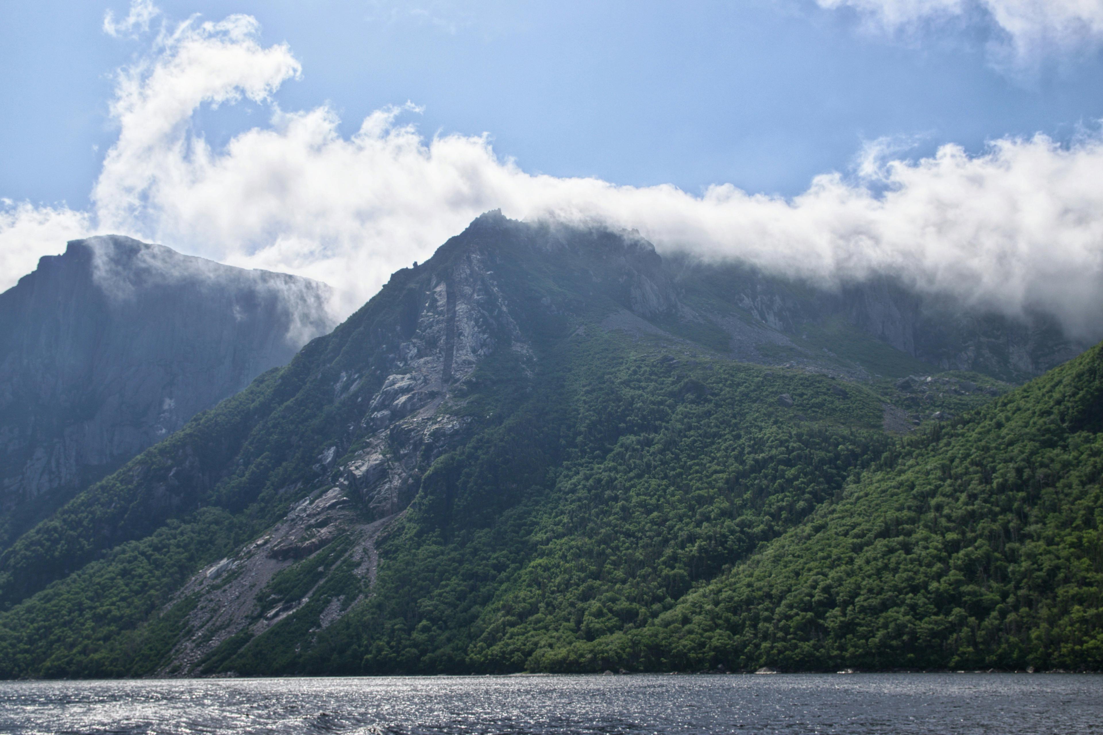 Hunting in the GROS MORNE Region: Exploring the Local Demographics, Clubs and Hunting Legislation of the Area