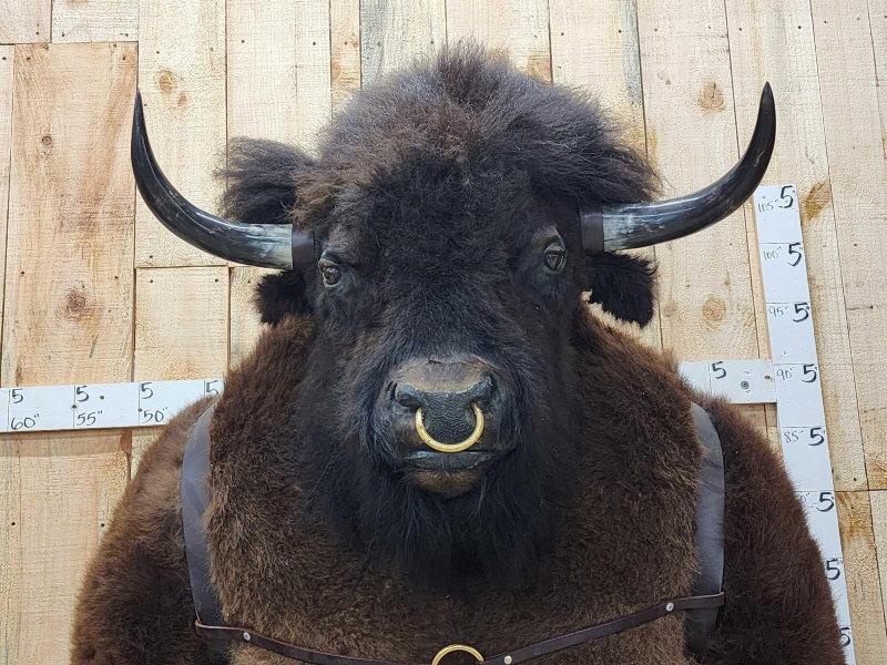 Spectacular  Minotaur for the fall auction in Maquoketa Iowa October 12-14