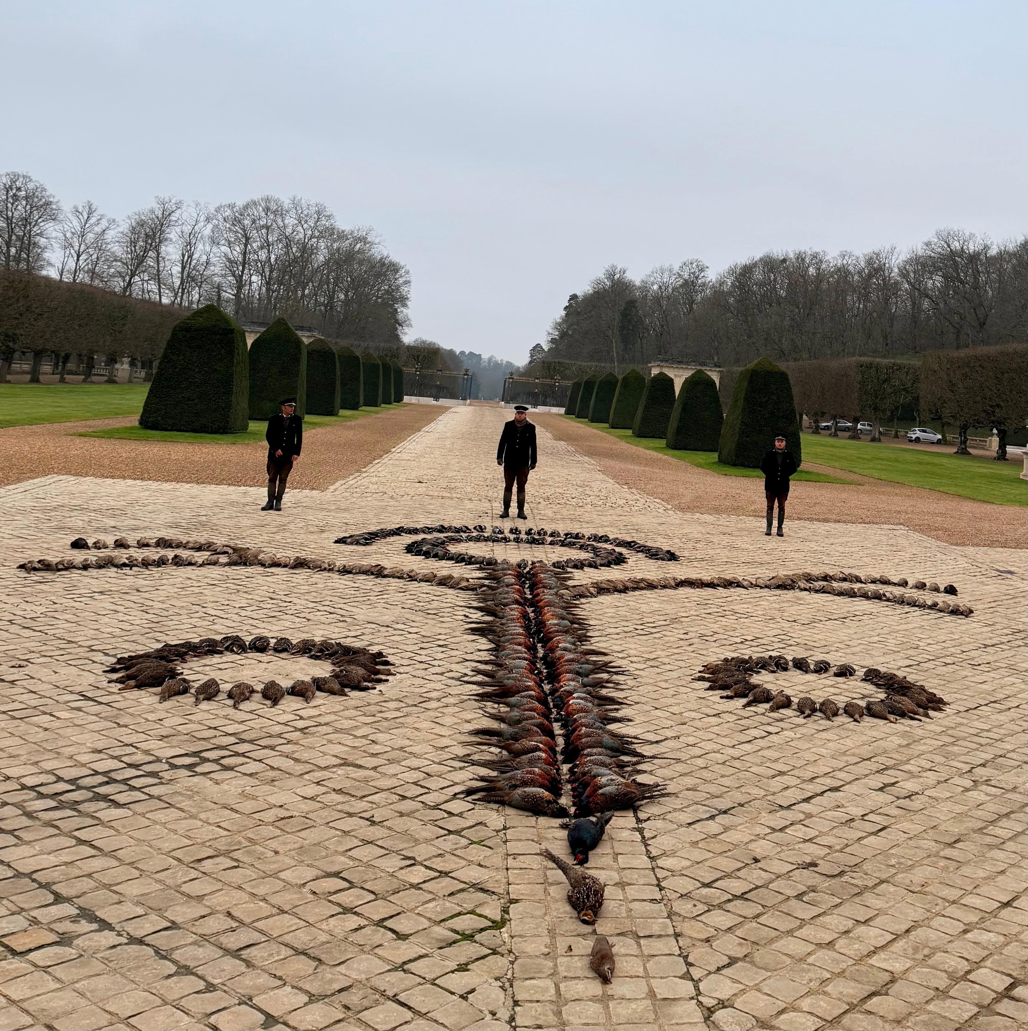 L'ART DES TABLEAUX DE CHASSE ET ANNECDOTES DES GRAND DE CE MONDE ; 