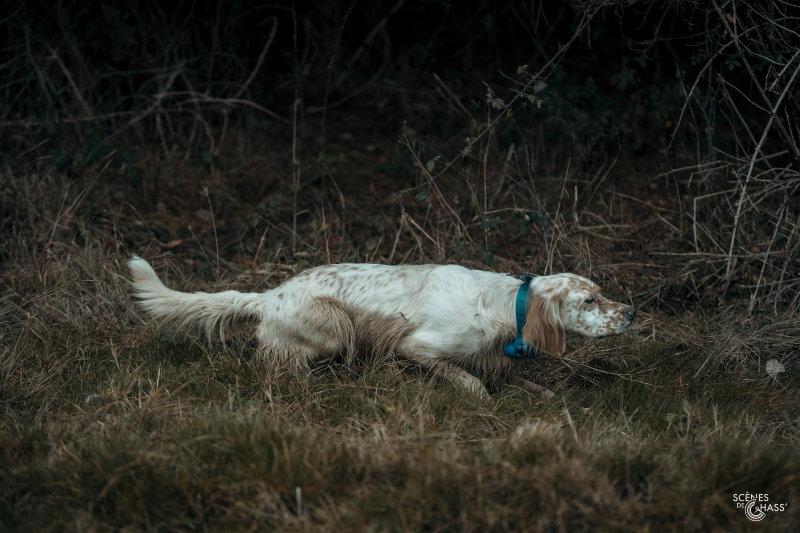 Petit mélange de photos postées ces dernières semaines