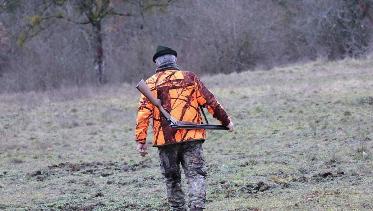 La chasse dans le HAUT-RHIN: Gibiers emblématiques, clubs de chasse, traditions régionales, faune locale et réglementation spécifique