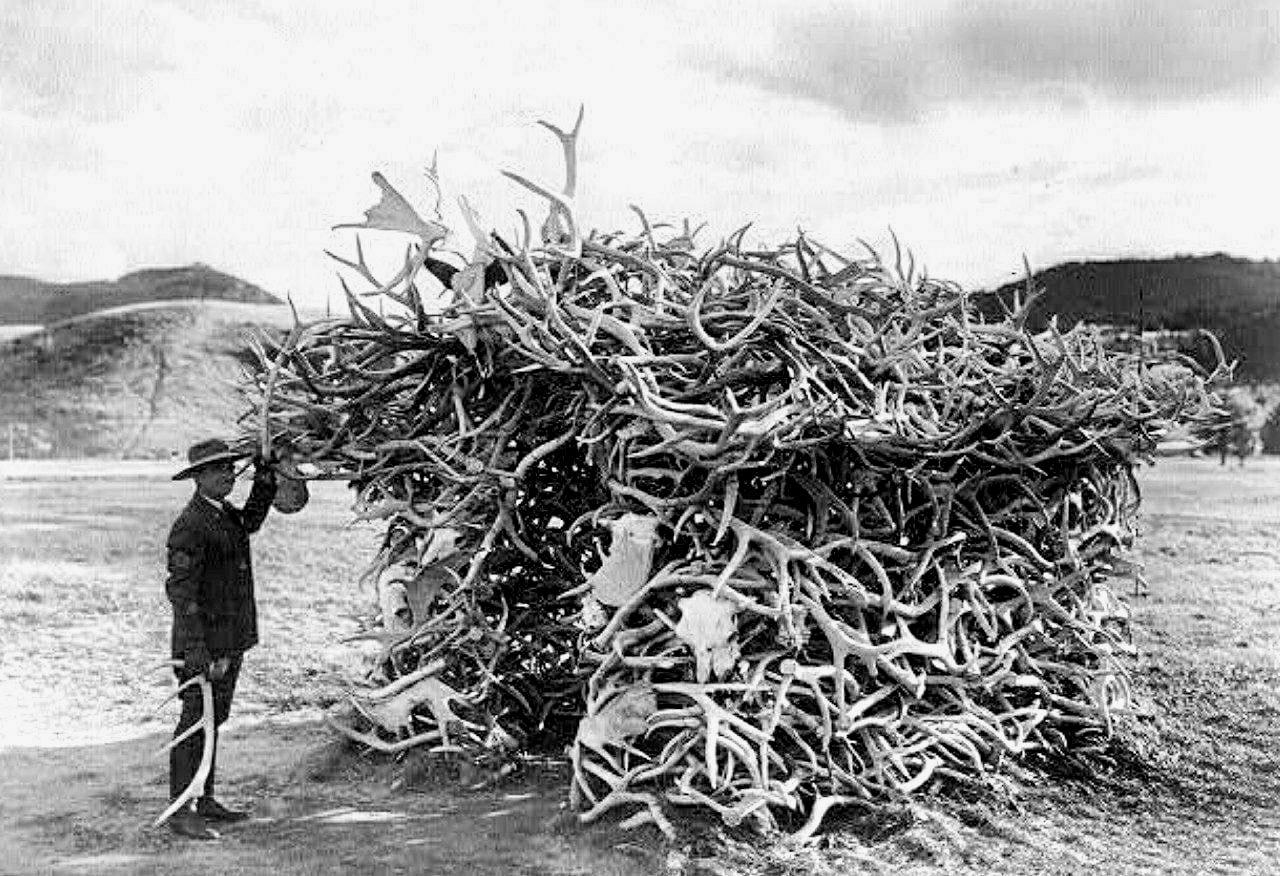 Chief Ranger Sam Woodring stands outside a deer antler house in Yellowstone National Park, USA, 1928.
