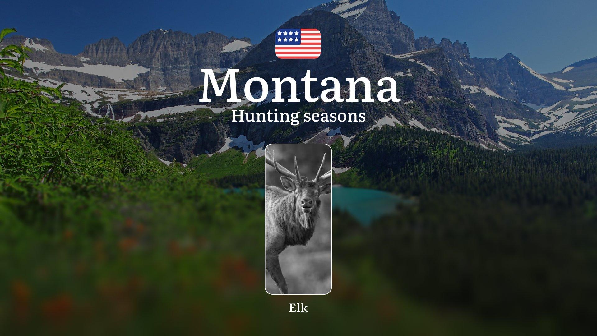 Montana: Hunting Seasons, Restrictions and Prohibitions, Hunting License, Practical Tips for Hunters, Consequences for Violating Hunting
