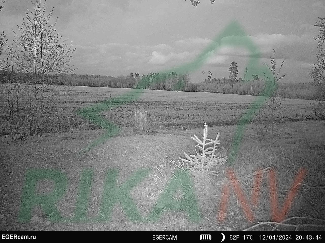 🦌🐇Raznolik život na hranilištu u zemlji