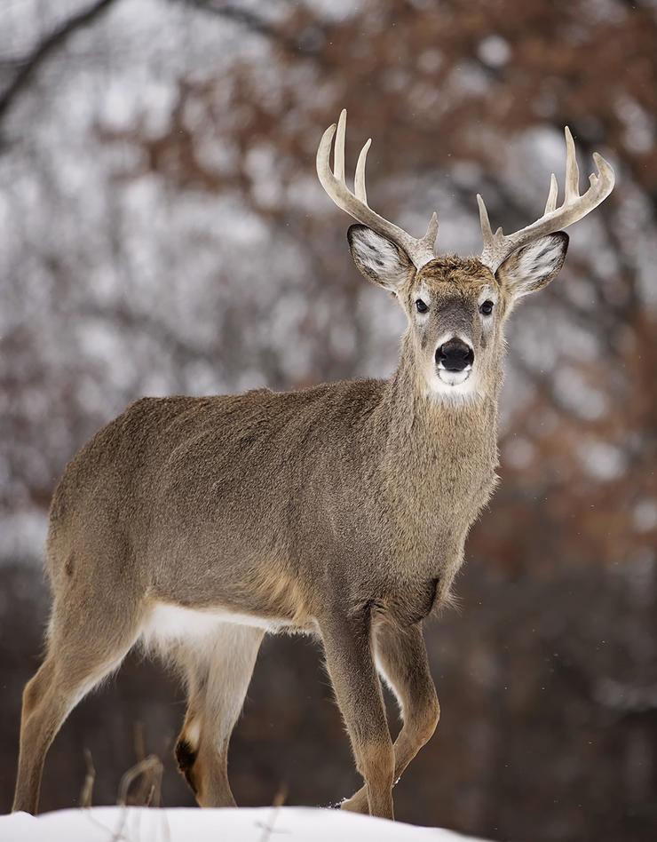Wisconsin