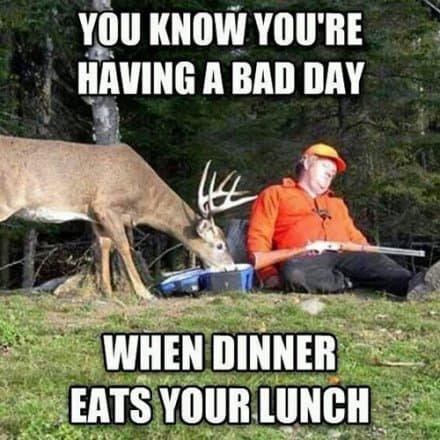 Meme time!