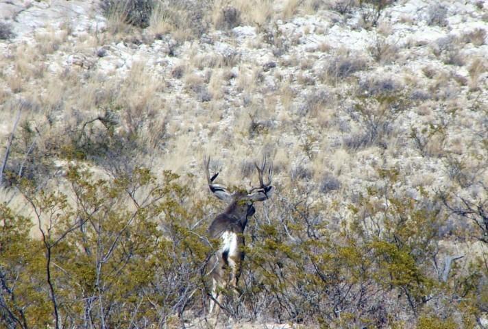 Spend a few days hunting quail here.