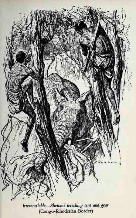 Elephants in Africa by Frank Melland.