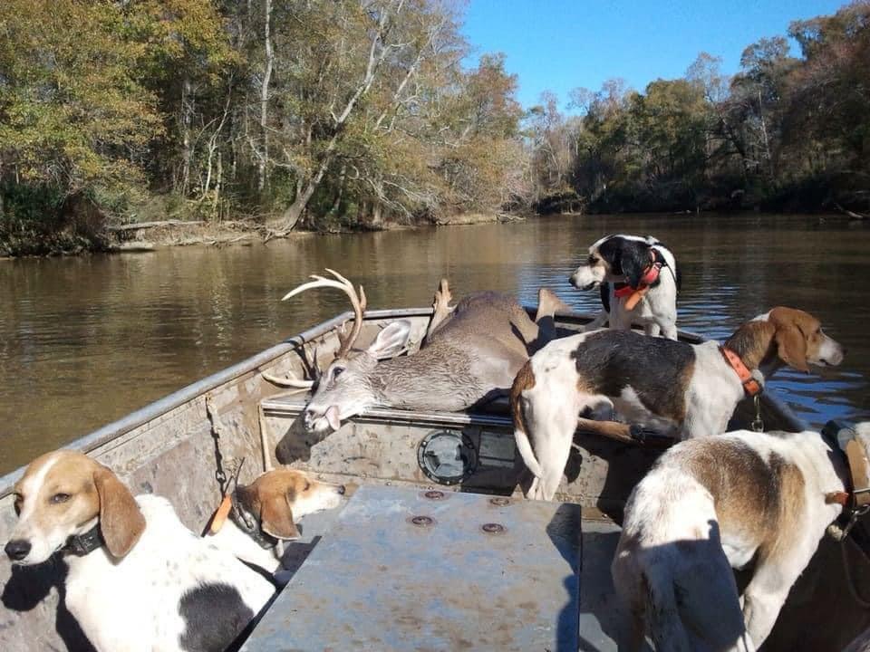 Saturday is opening day of Deer dog season and time to move to the off grid houseboat for a few months.