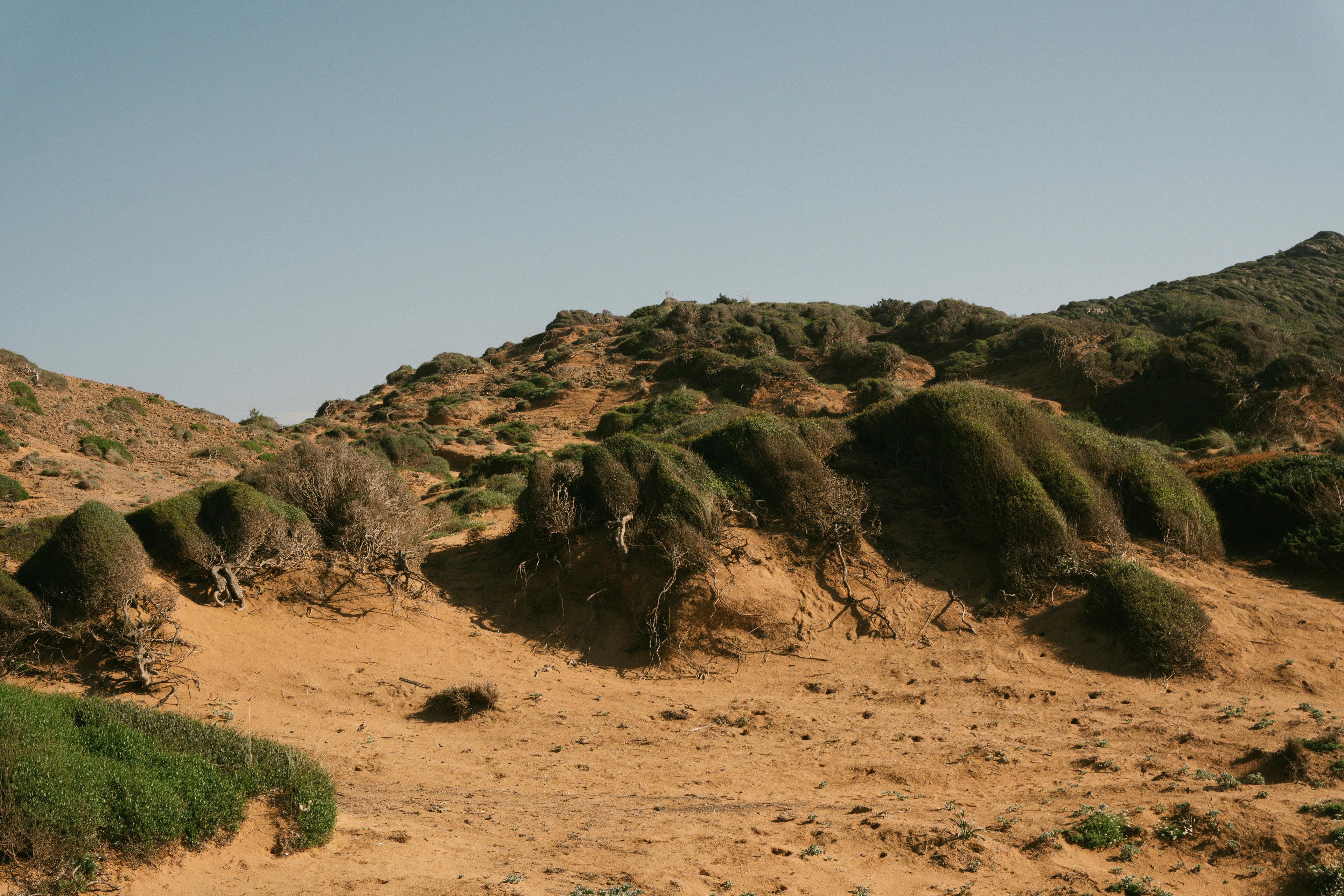 Bird Hunting and Big Game in Fatick: Clubs, Legislation and Communities.