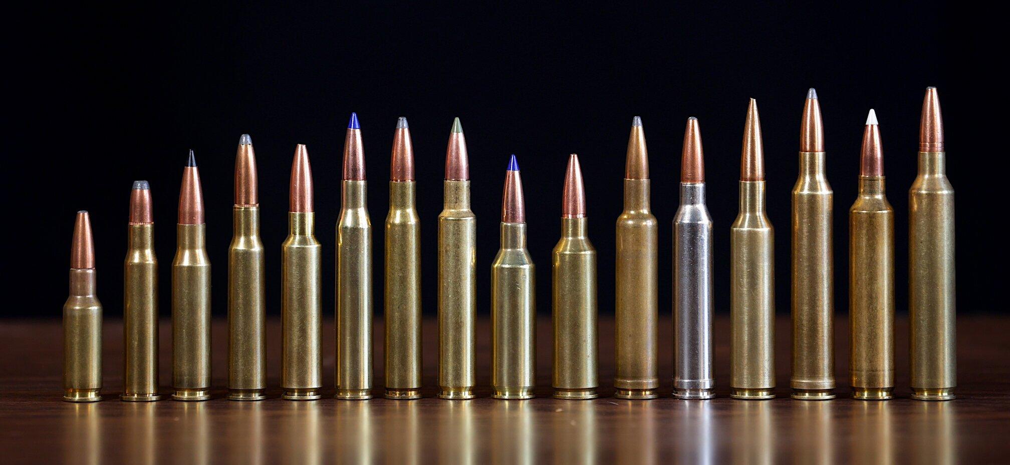 Picking the Best Rifle and Caliber for Pig Hunting