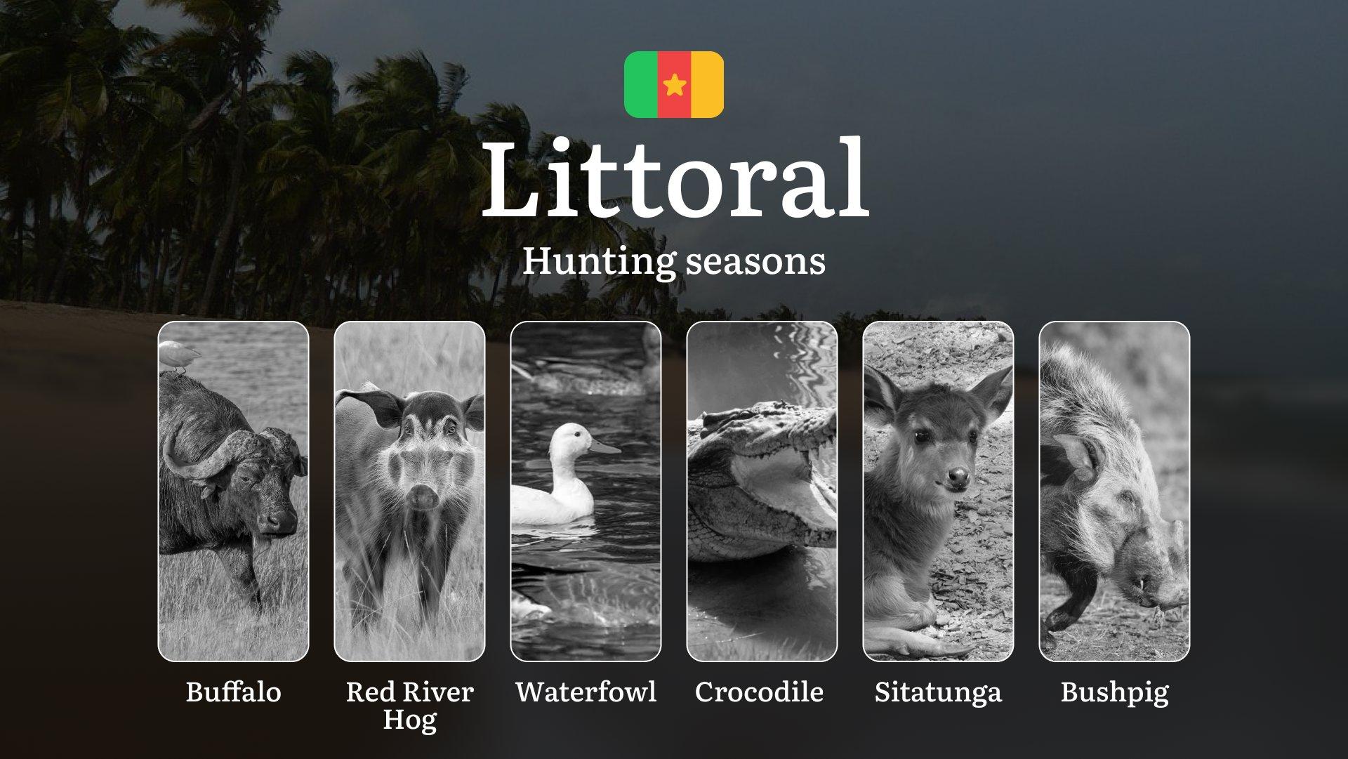 Hunting Seasons of Littoral: Exploring General Hunting Rules, Legislation and Permits, Hunter Events and Cultural Experiences