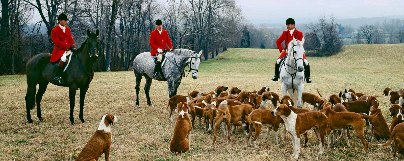 Hunting and shooting in the United Kingdom (UK) banner