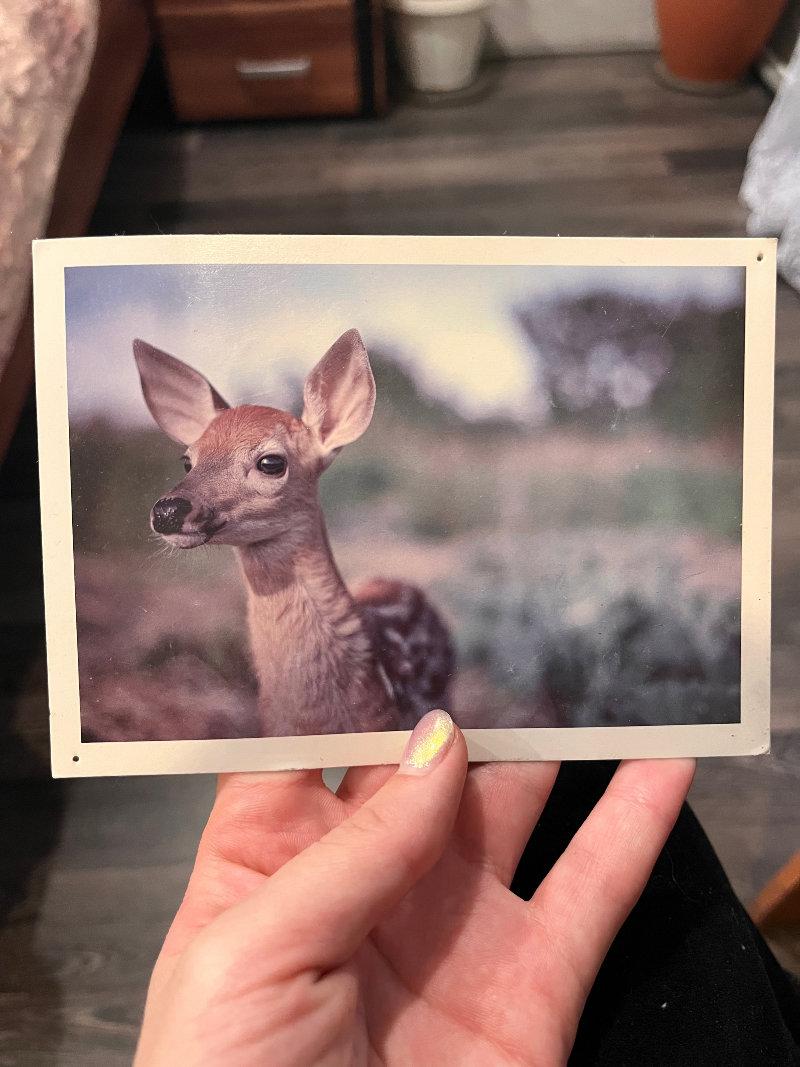 postcards