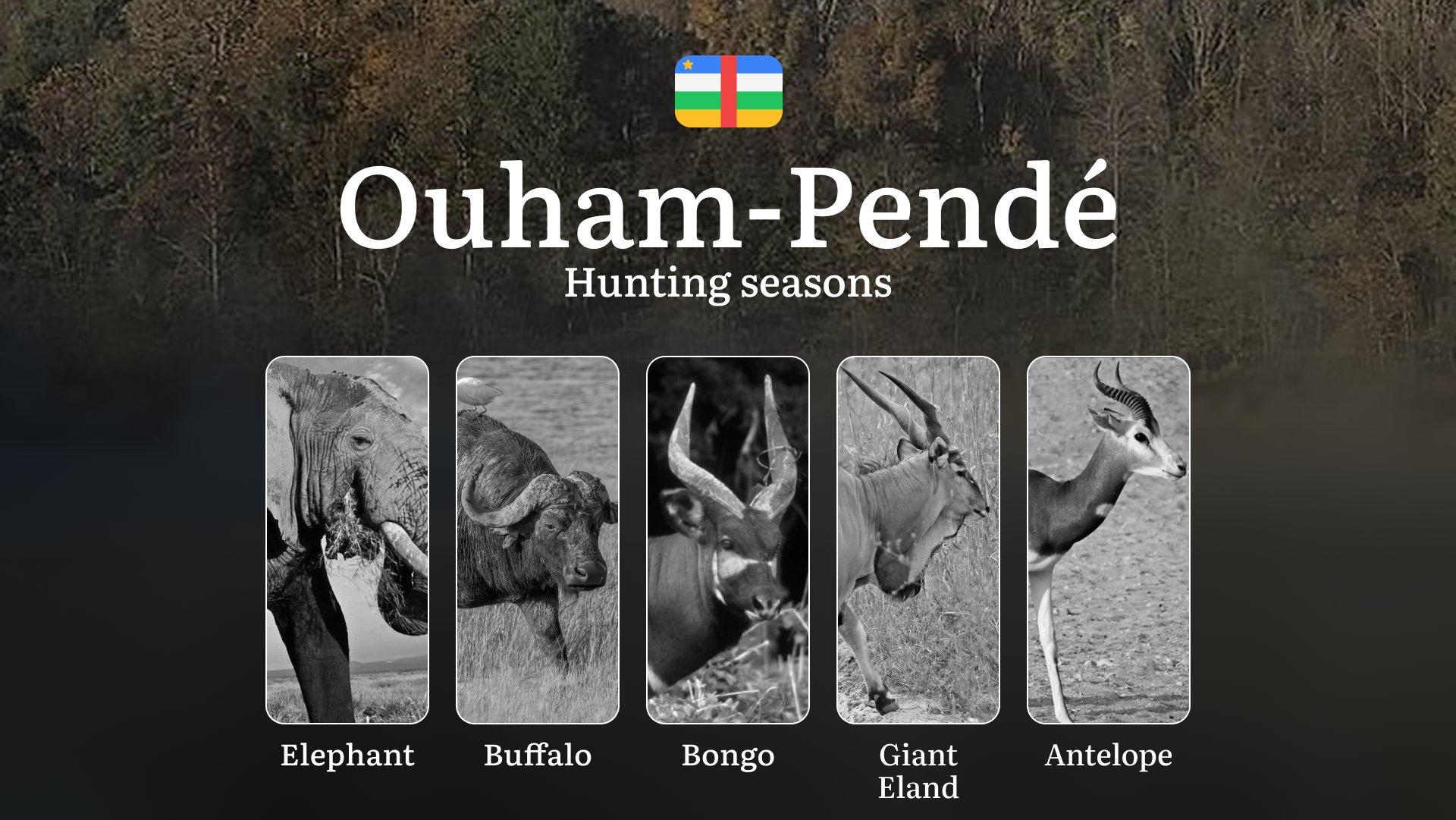 Hunting in Hunting in Ouham-Pendé: Understanding Hunting Calendar, Legal Permits and Restrictions, Local Hunting Traditions