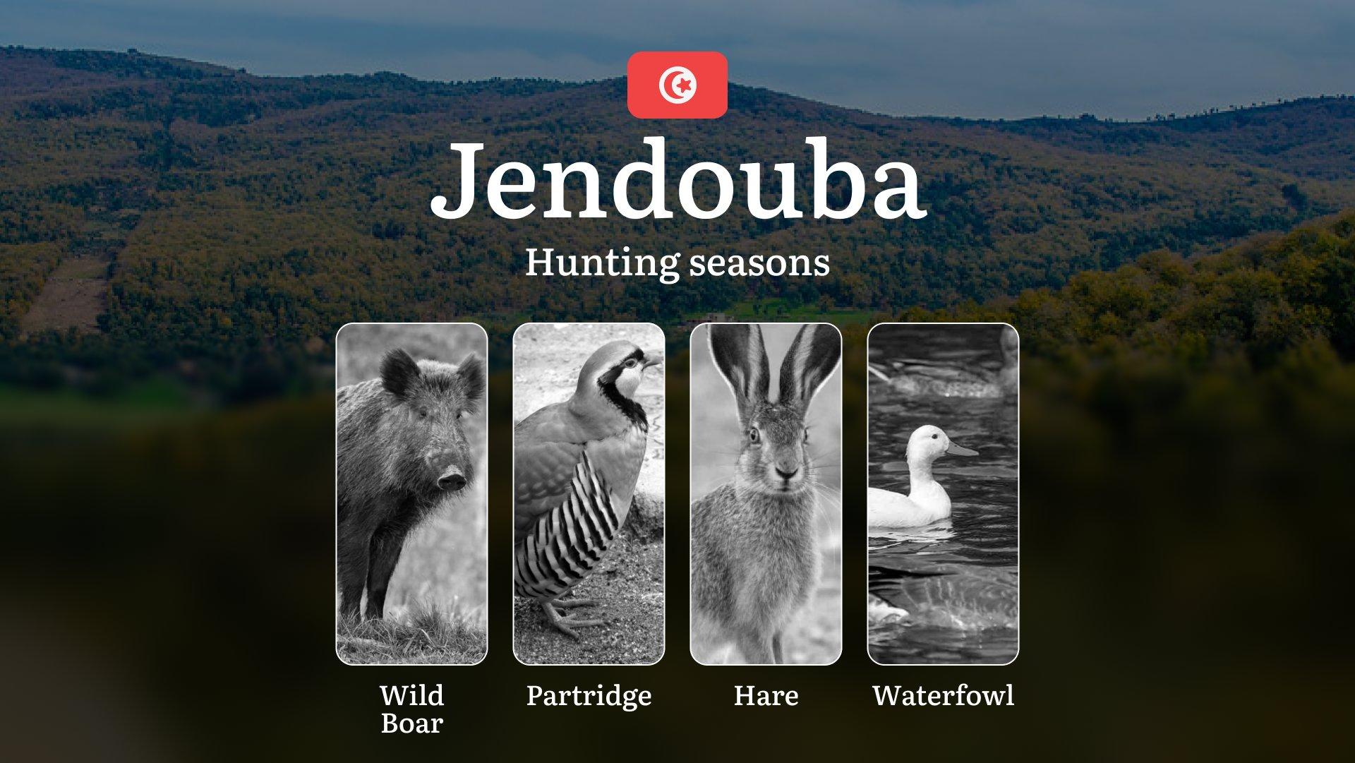 Hunting Seasons in JENDOUBA: Opening and Closing Dates, Protected Species, Permit Requirements and General Hunting Rules