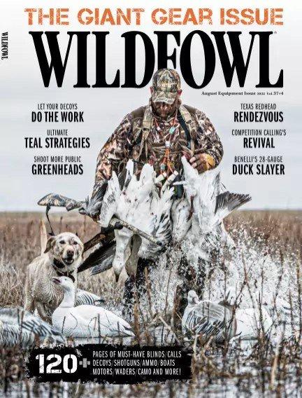 Wildfowl