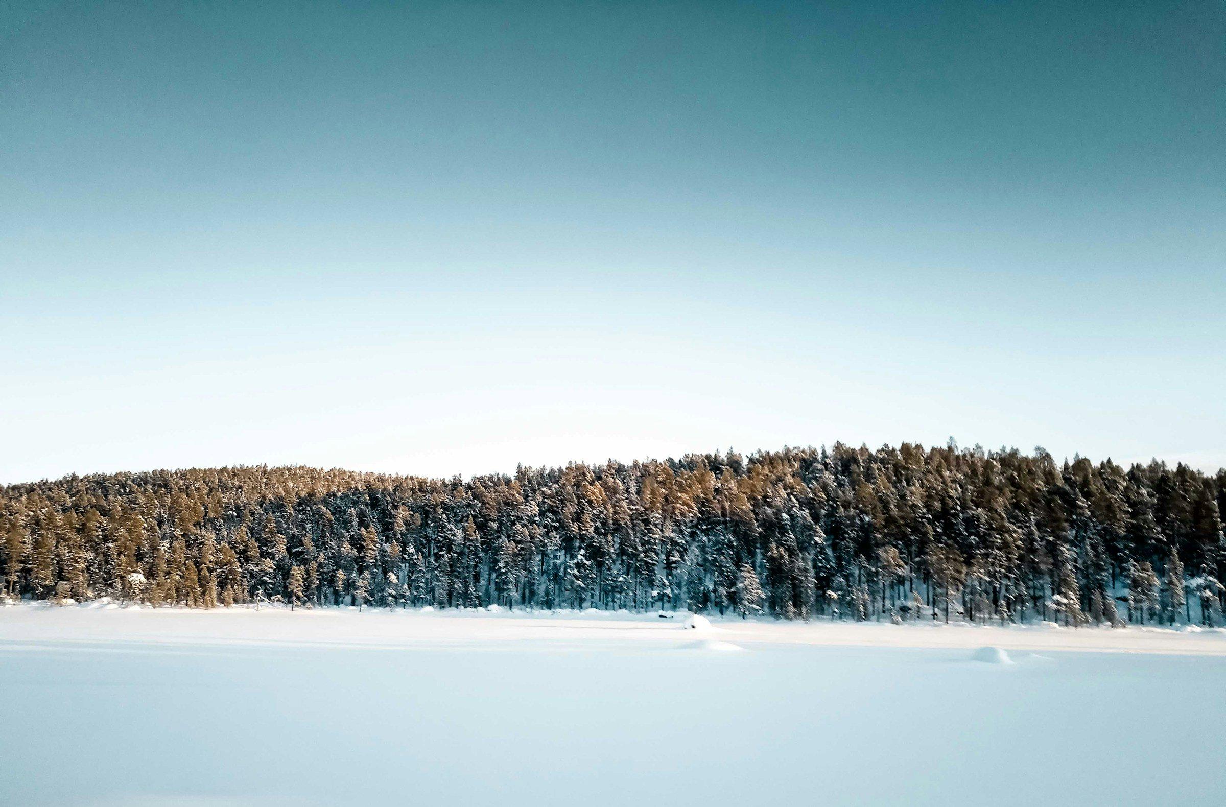 Inari Hunting Explained: Seasons, Laws and Legislation, Demographics, Clubs, and Interesting Facts