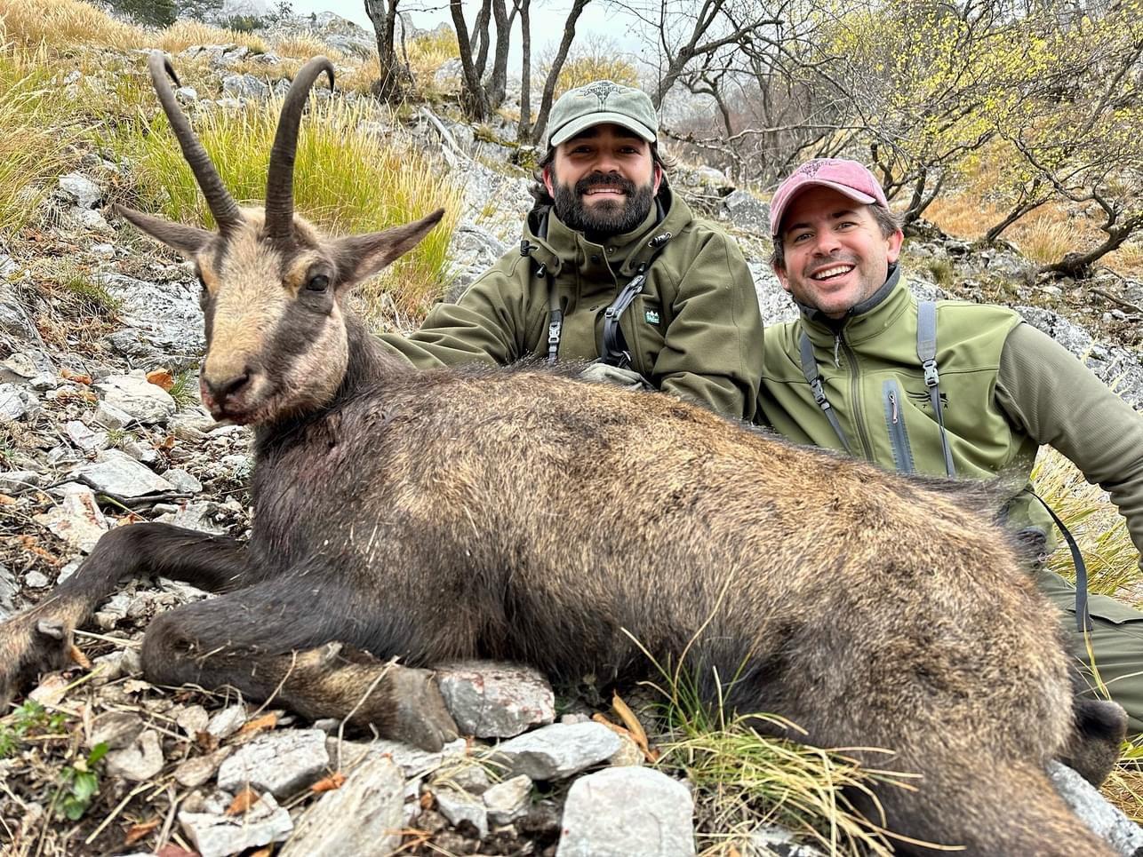 🇺🇸 As you leave the tree line below after a long and steep hike, the alpine terrain above us welcomes us with so many Chamois that it becomes really difficult to decide which “bouc” to choose.