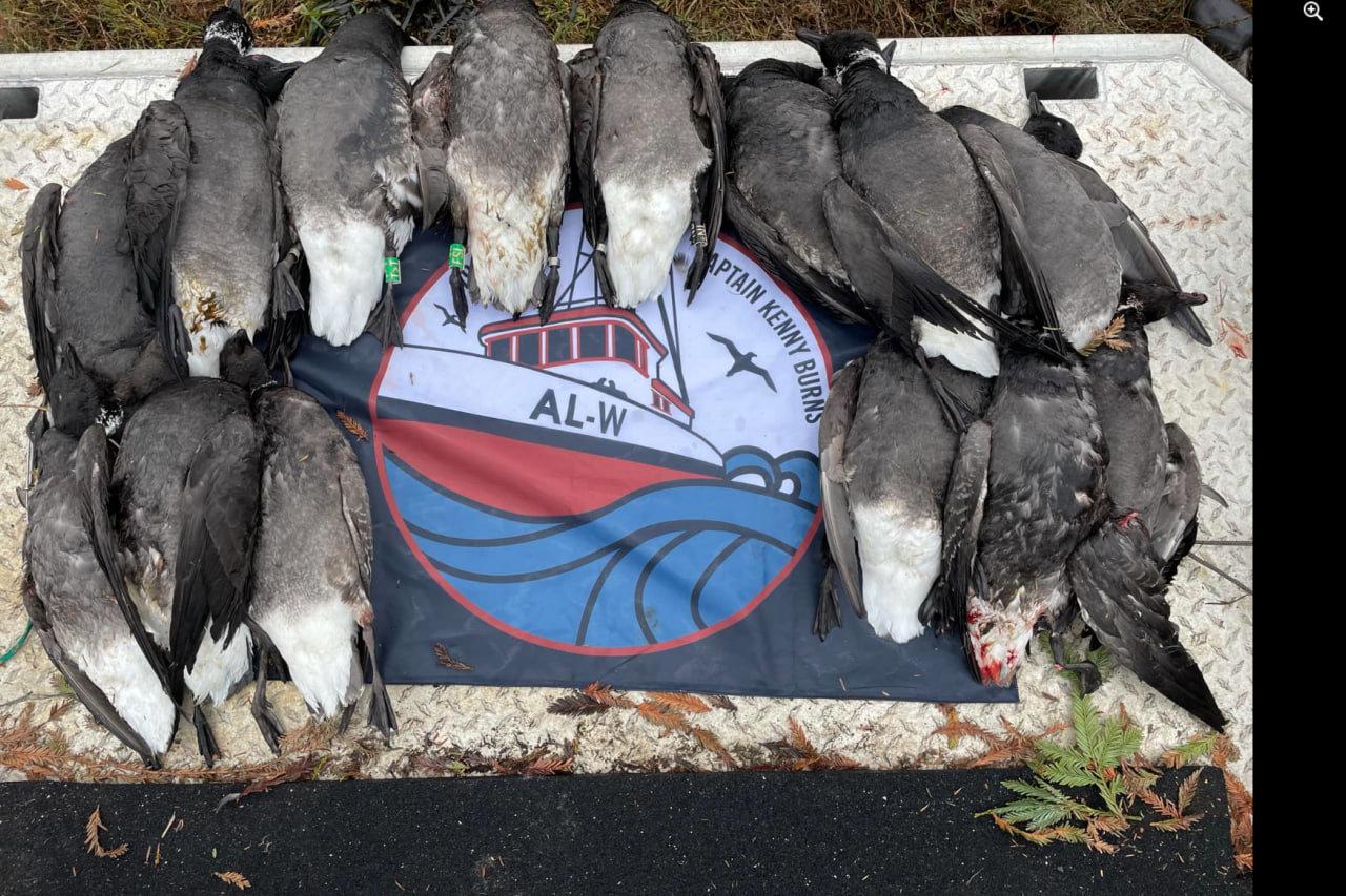 California Outdoor Heritage Alliance (COHA)