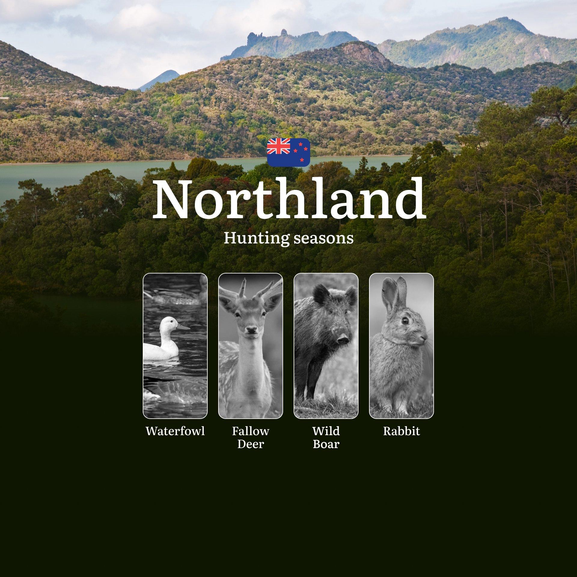 Hunting Seasons in NORTHLAND, New Zealand: Penalties for Violating Hunting Rules and Seasons, Bans and Restrictions