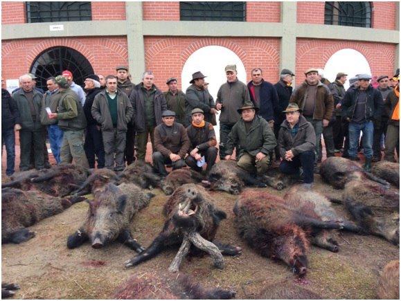 Portuguese Federation of Hunting