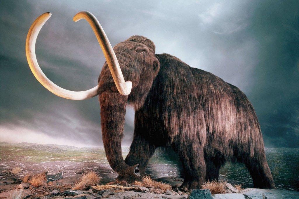 Forskere fra Colossal Biosciences ønsker at returnere flere tabte dyrearter til vores verden.