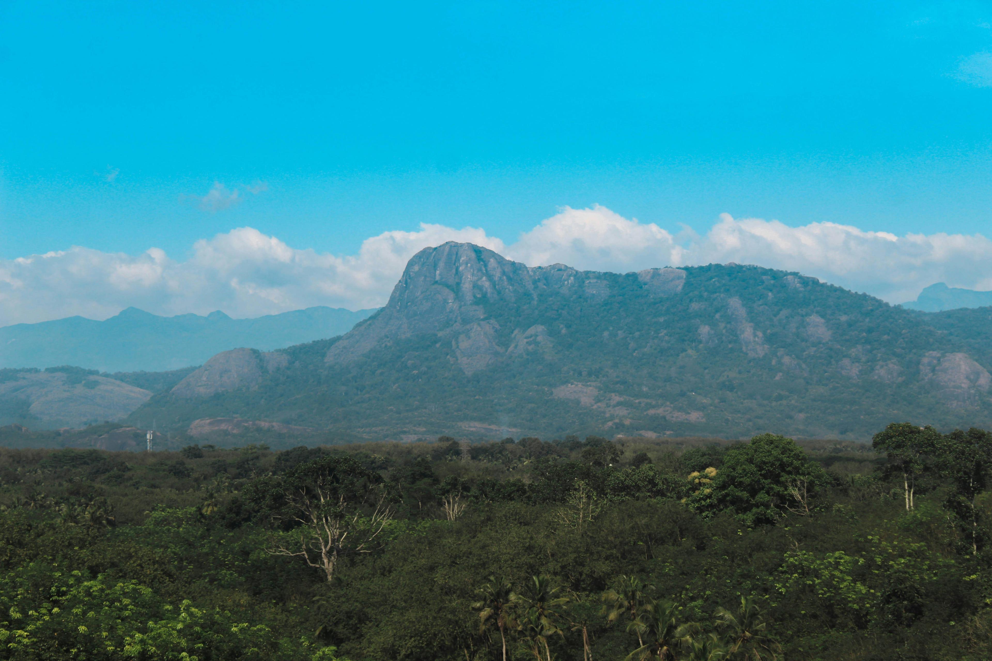 Hunting in MANICA: An In-Depth Guide to Wildlife, Traditions, Rules, and Exceptional Hunting Opportunities in Mozambique’s Mountainous Region